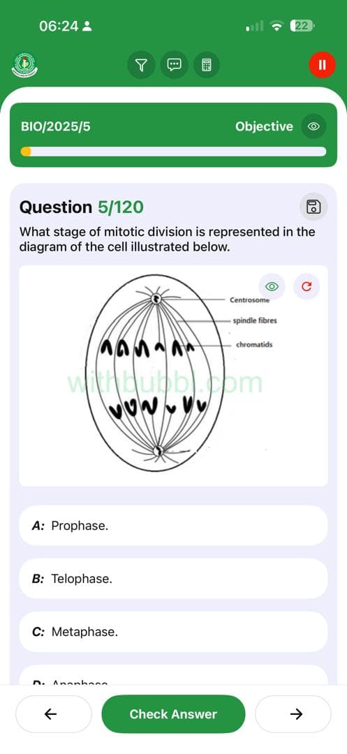 BrainBoost Feature 20