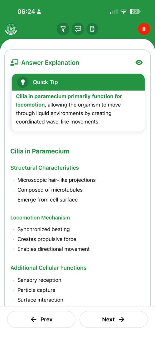 BrainBoost Feature 23