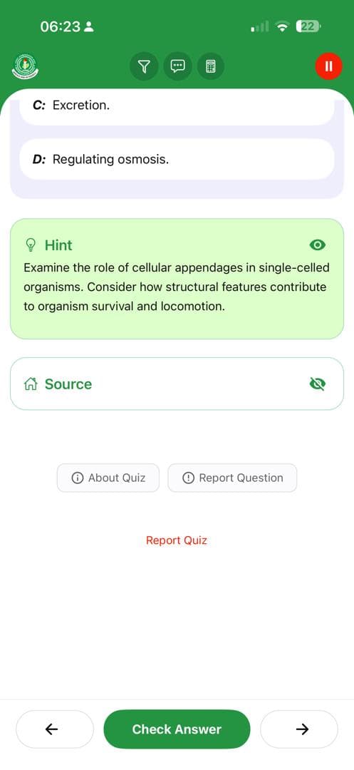 BrainBoost Feature 24
