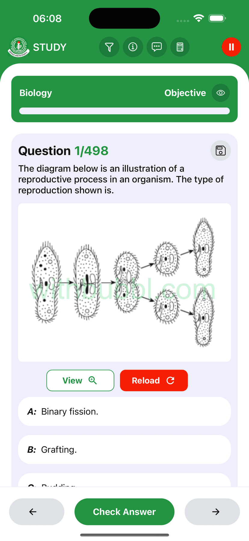 BrainBoost Feature 8