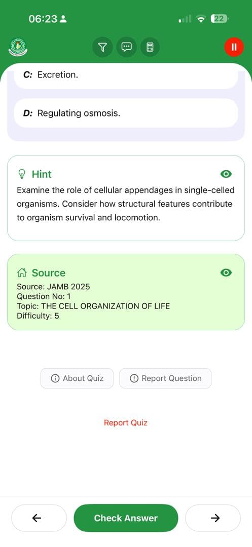 BrainBoost Feature 29
